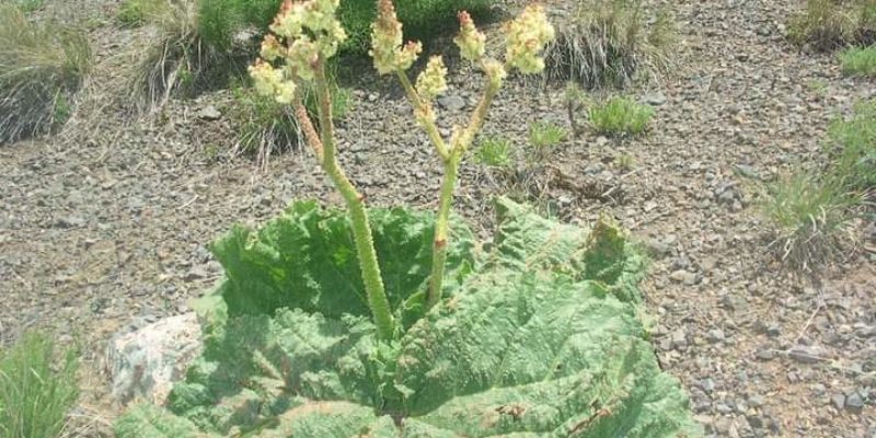 WhatsApp Image 2018-12-05 at 16.52.44(1)