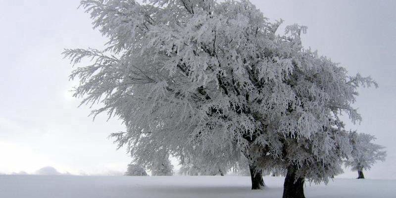 Köyde kış manzarası