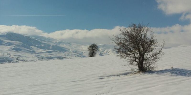 Köyde kış manzarası